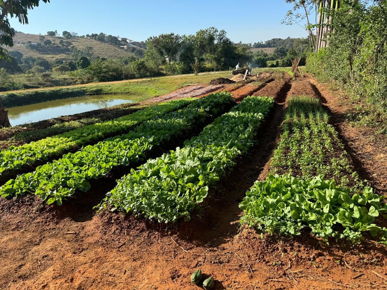 Centro Acolher - Área Externa