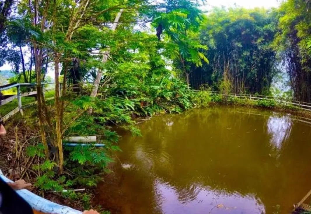 Clínica Especializada - Foto 3