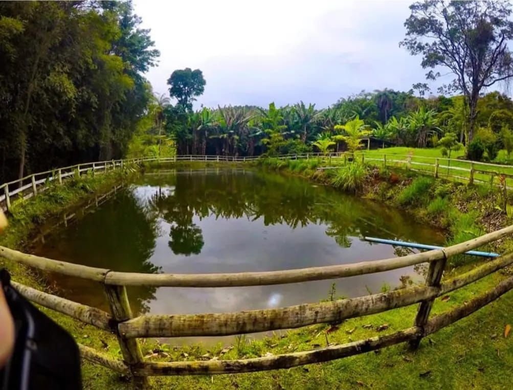 Clínica Especializada - Foto 5